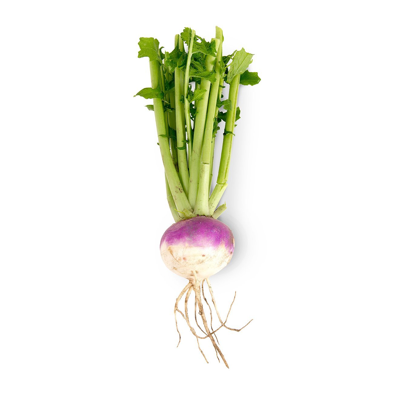 Turnips