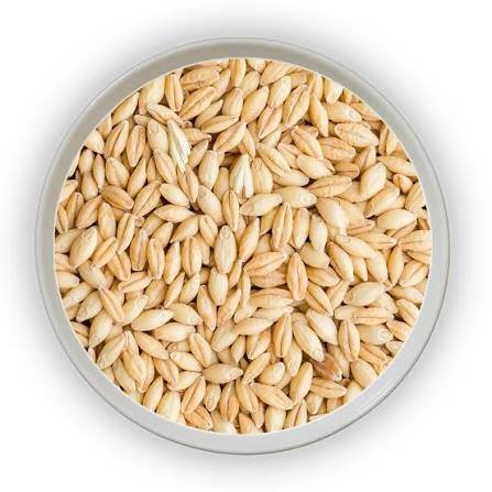 Barley