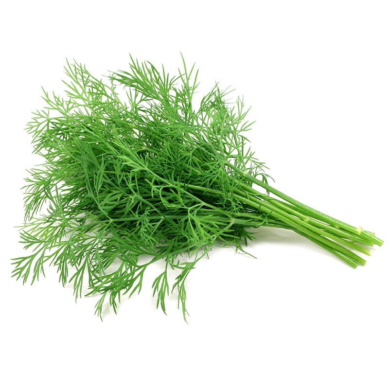Dill
